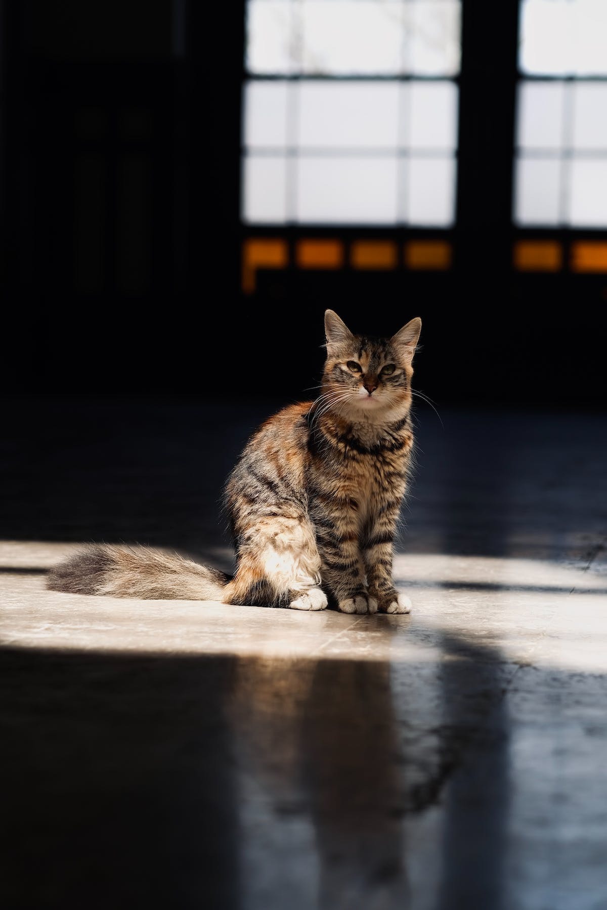 chat  protection