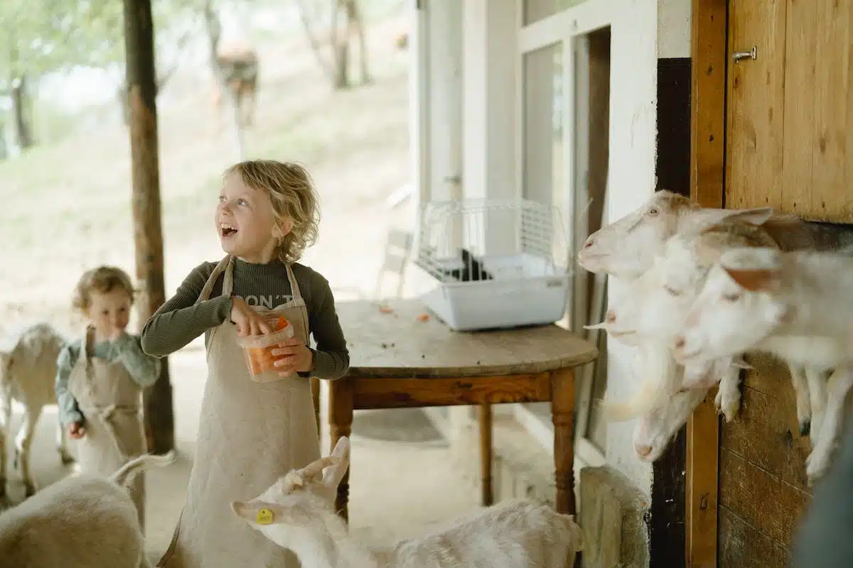 alimentation animaux