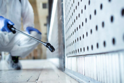 Signes révélateurs d’un besoin urgent de dératisation professionnelle